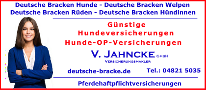 Deutsche-Bracken